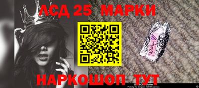 дмт Кингисепп