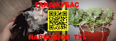 стафф Кимры