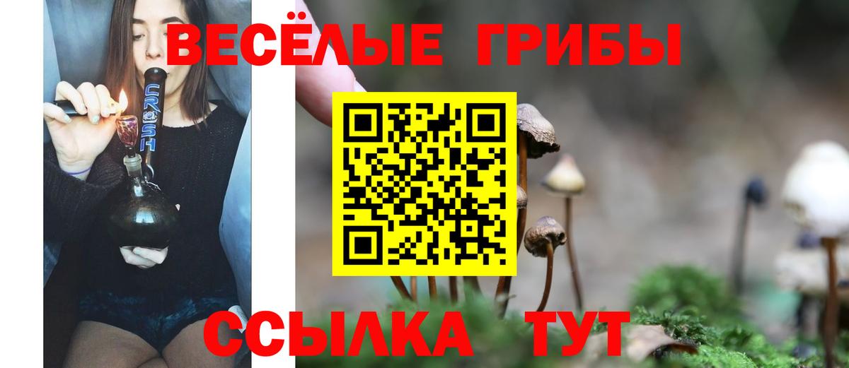 Псилоцибиновые грибы Magic Shrooms  Вход с VPN  Балашов  Псилоцибиновые грибы Cubensis 