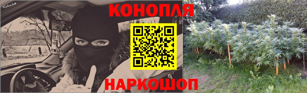 Балашов  Бошки марихуана White Widow  Каннабис планчик  Конопля семена  Вход с VPN 
